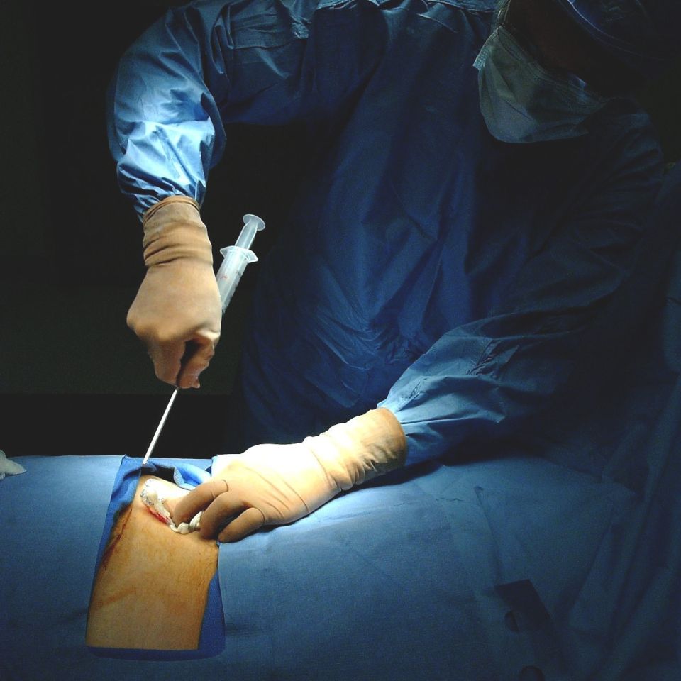 Dr. Jairo Zalamea Silva